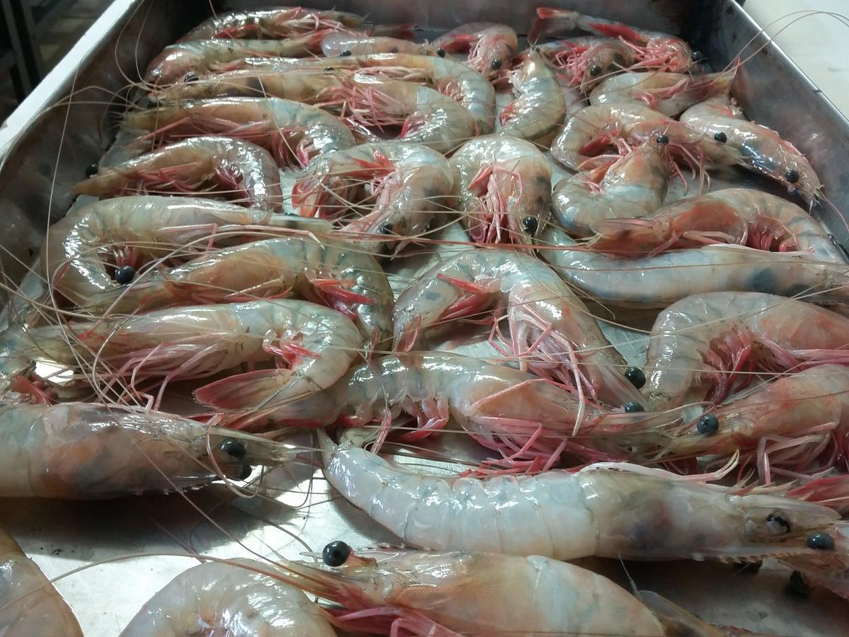 Pousada Chef Brasil بارا فيلها المظهر الخارجي الصورة