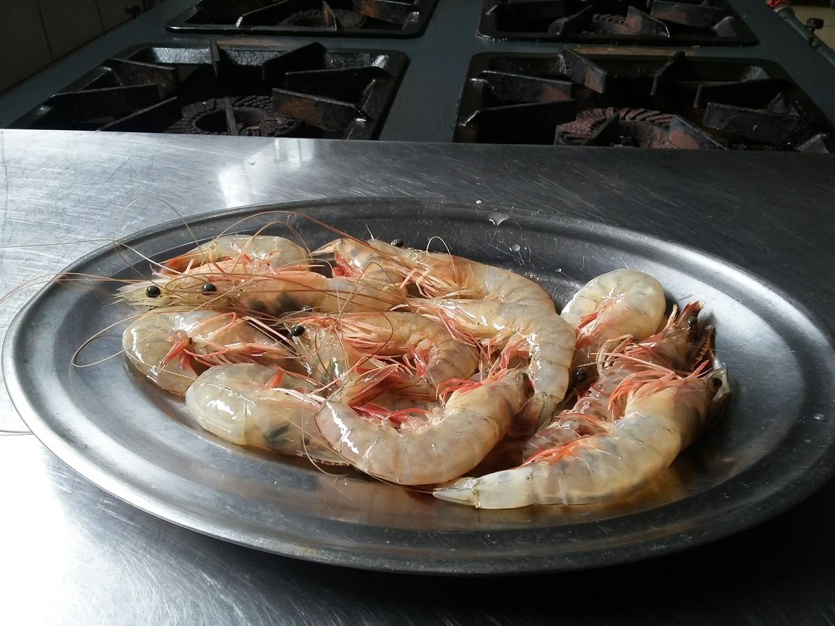 Pousada Chef Brasil بارا فيلها المظهر الخارجي الصورة