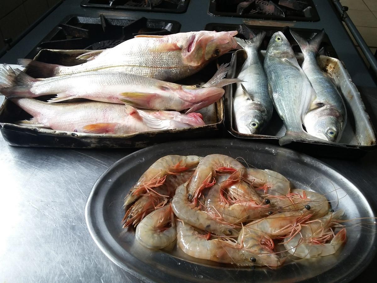 Pousada Chef Brasil بارا فيلها المظهر الخارجي الصورة